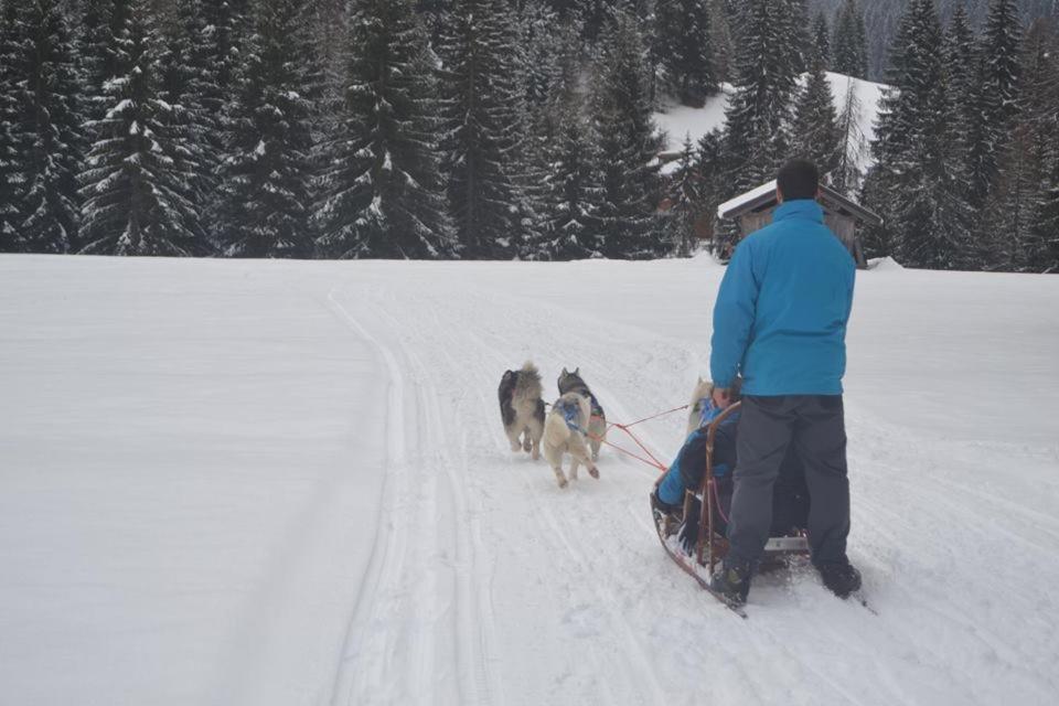 Bed and Breakfast Eirl Dolomites Retreat Sappada Esterno foto