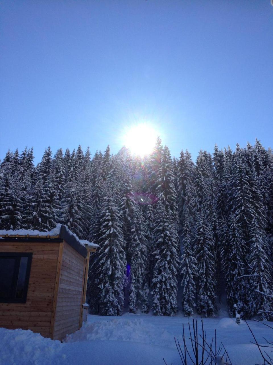 Bed and Breakfast Eirl Dolomites Retreat Sappada Esterno foto