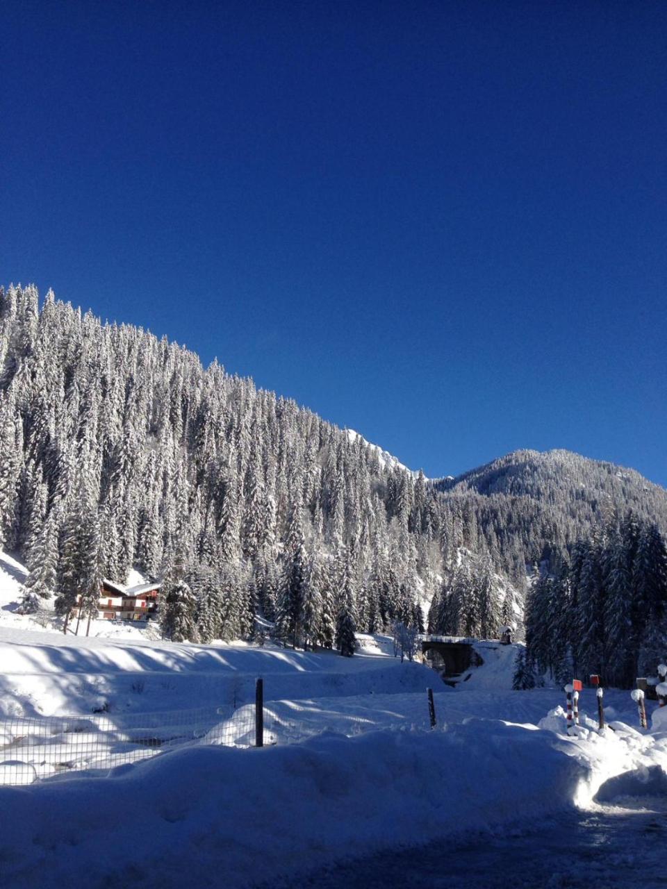 Bed and Breakfast Eirl Dolomites Retreat Sappada Esterno foto